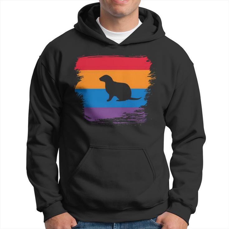 Ferret Shadow Silhouette With Colorful Flag Hoodie