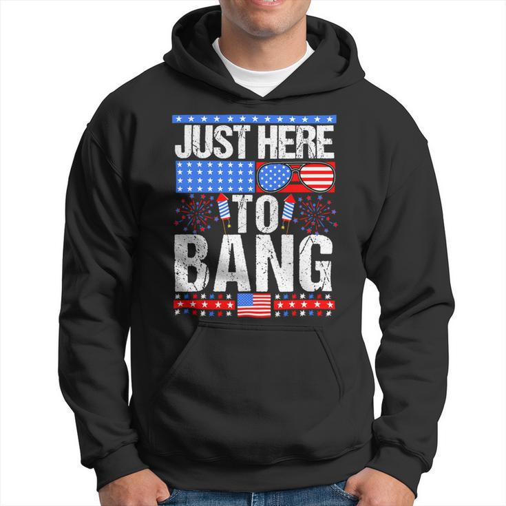 Fourth Of July 4Th Of July Im Just Here To Bang Patriotic Hoodie