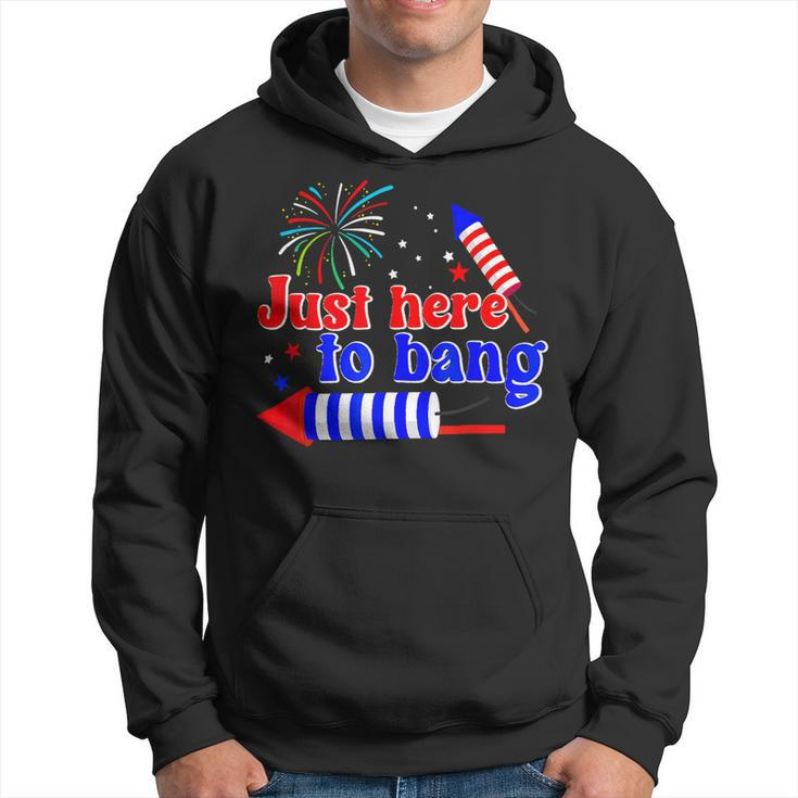 Funny 4Th Of July Fireworks Just Here To Bang American Flag Hoodie