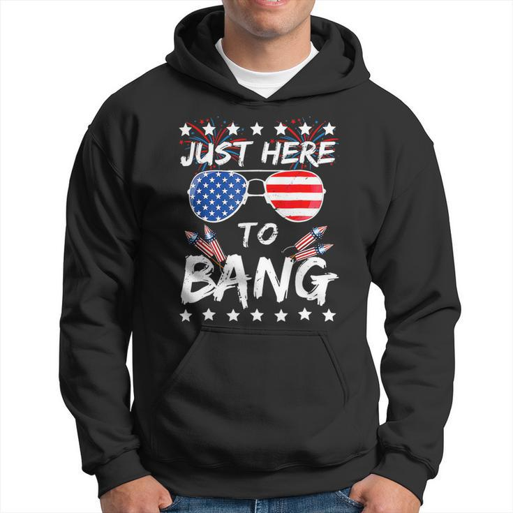 Funny Fourth Of July 4Th Of July Im Just Here To Bang 1 Hoodie
