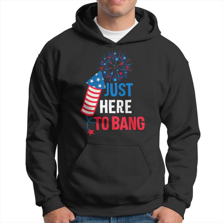 Funny Fourth Of July 4Th Of July Im Just Here To Bang 9 Hoodie