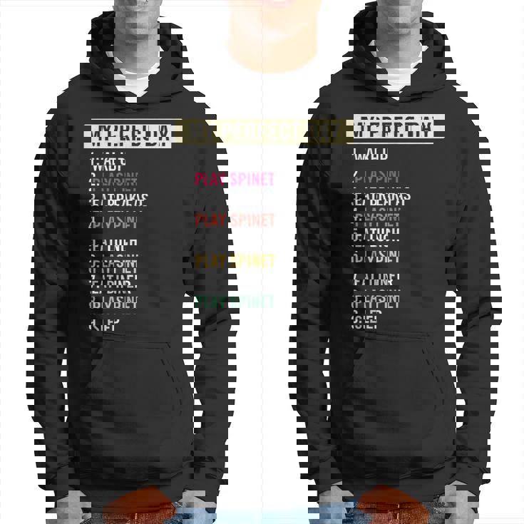 Spinet Musical Instrument Lovers Quotes Hoodie