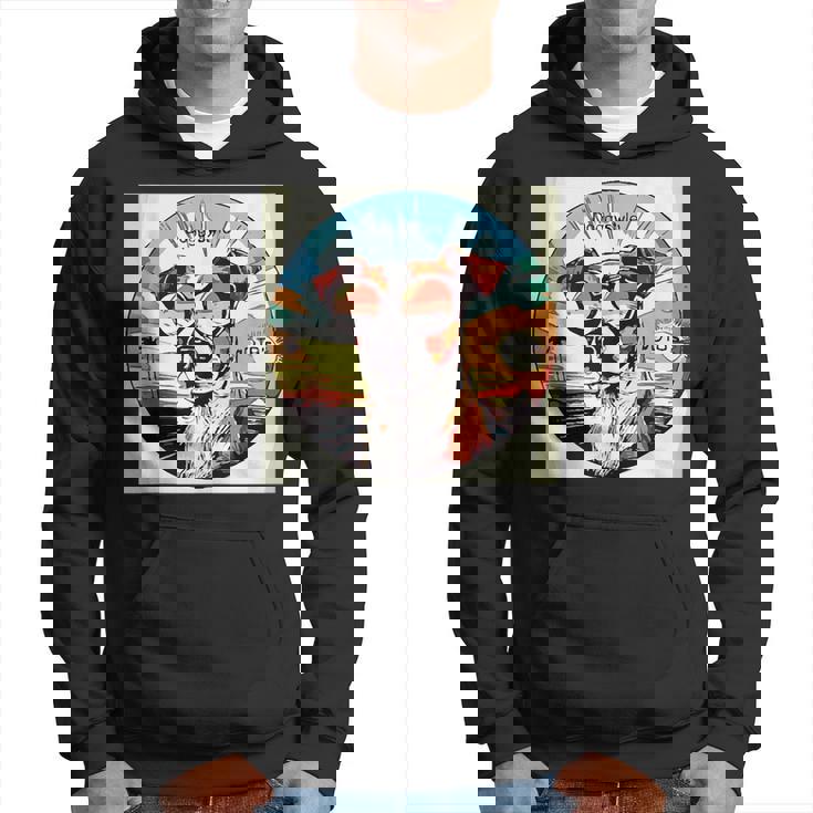 Galaxyman Hoodie