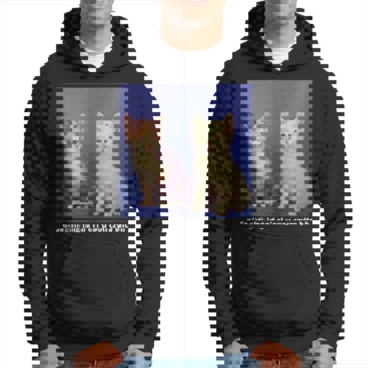 Gaslighting Isnt Real You Crazy BITCH Funny Cat Lover Gifts For Cat Lover Funny Gifts Hoodie