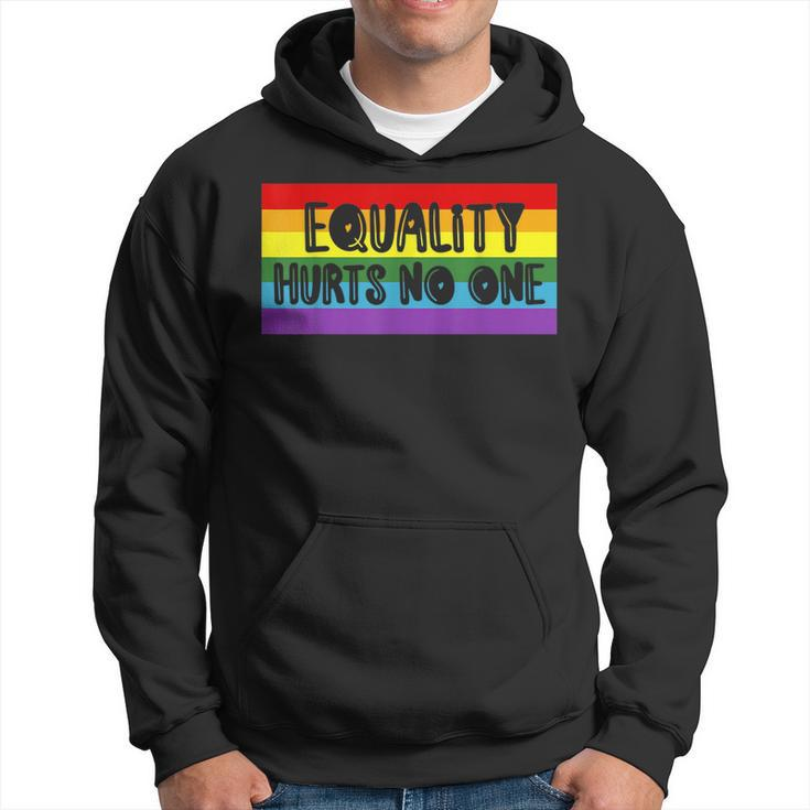 Gay Pride Equality Hurts No One Love Wins  Hoodie