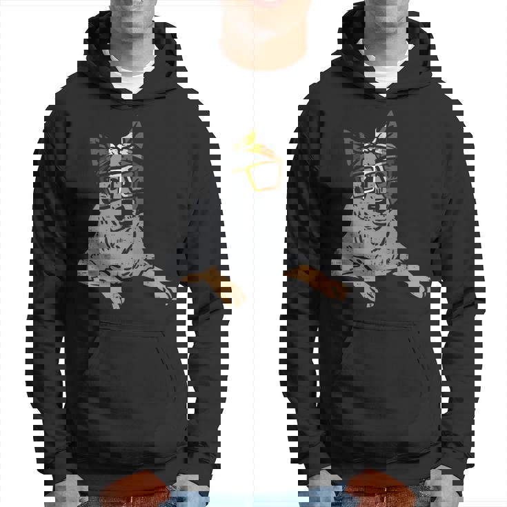 Heeler Australian Cattle Dog Lgbtq Gay Bear Flag Gay Pride Hoodie