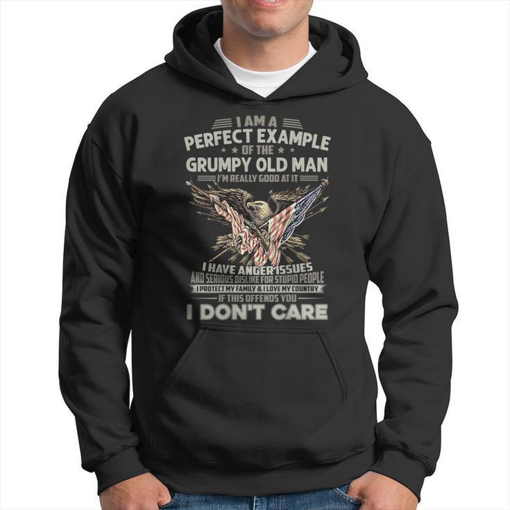 I Am A Perfect Example Of The Grumpy Old Man Veteran Dad Hoodie