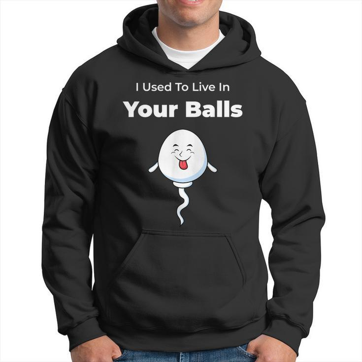 I Used To Live In Your Balls Funny Silly Fathers Day Hoodie