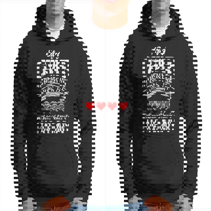 Im A Gamer Not Because I Dont Have A Life Funny Hoodie