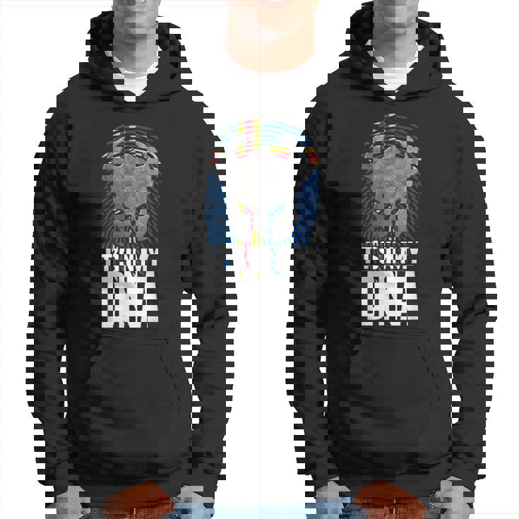 Its In My Dna Viking Nordic Aland Islands Pride Flag Hoodie