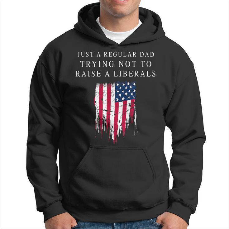 Just A Regular Dad America Flag America Patriotic Father Day  Hoodie