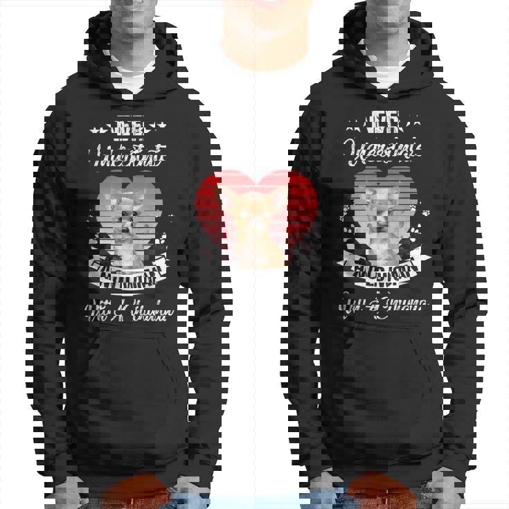 Never Underestimate An Old Woman With A Chihuahua Dog Lovers Old Woman Funny Gifts Hoodie
