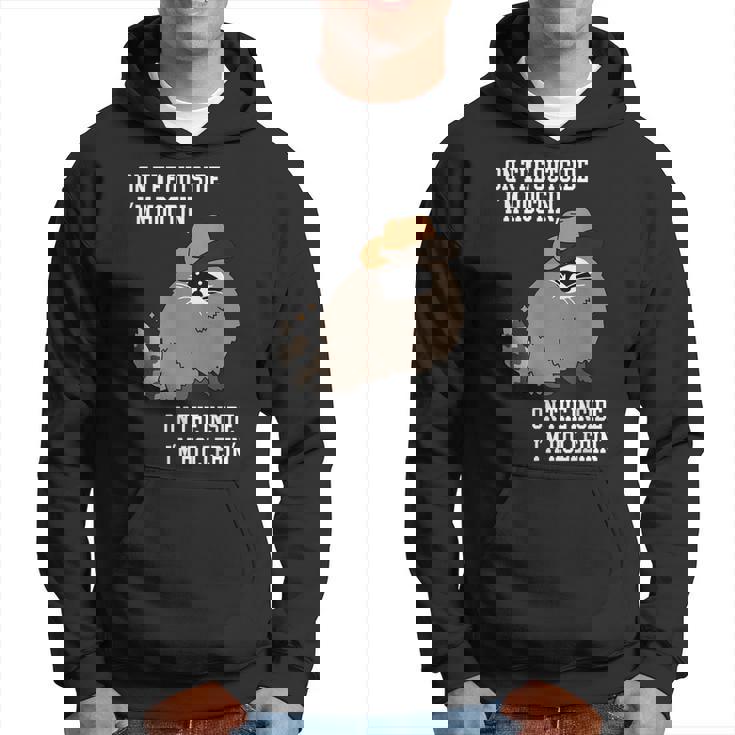 On The Outside Im Hootin On The Inside Im Hollerin Hoodie