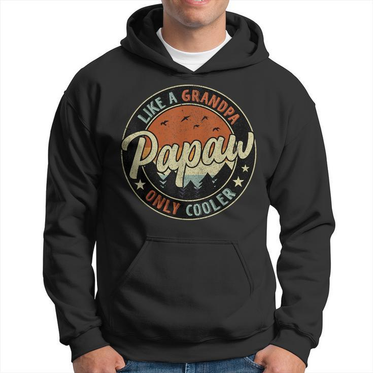 Papaw Like A Grandpa Only Cooler Vintage Retro Fathers Day  Hoodie