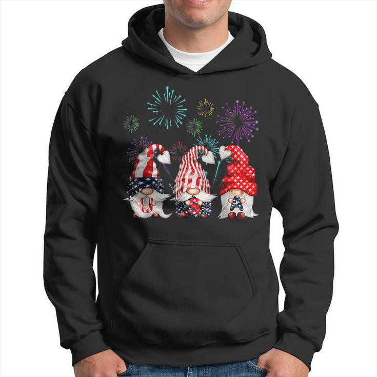 Patriotic Three Gnomes Firework Independence Day 4Th Of July Hoodie