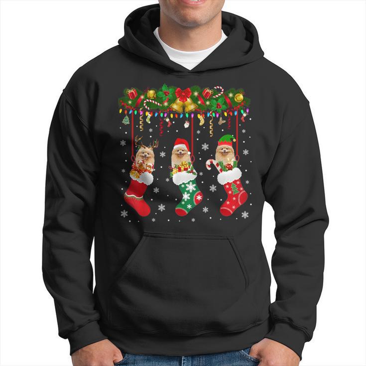 Pomeranian In Sock Xmas Reindeer Santa Elf Dog Hoodie