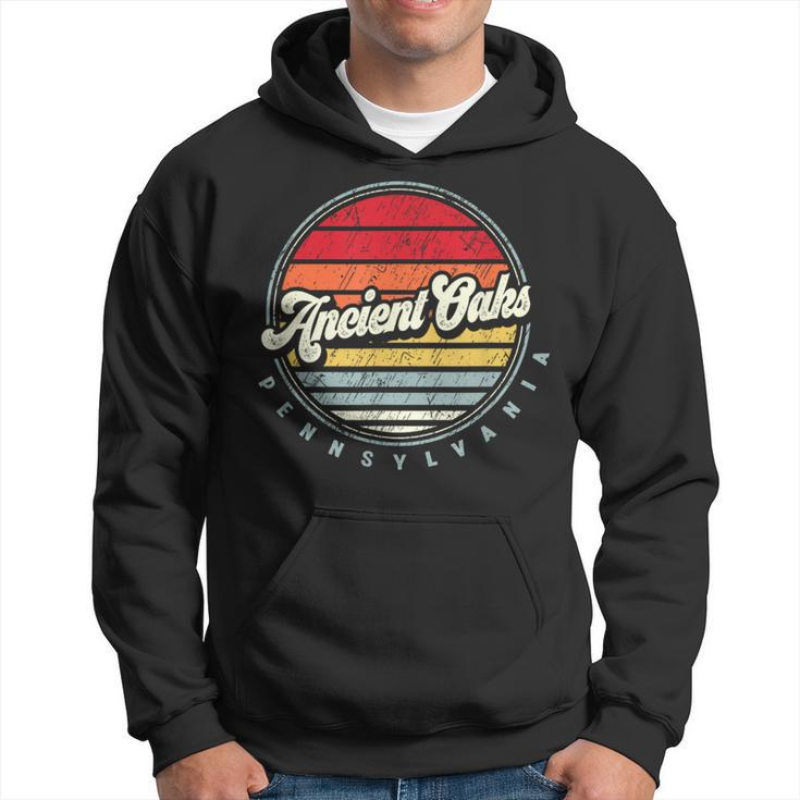 Retro Ancient Oaks Home State Cool 70S Style Sunset Hoodie