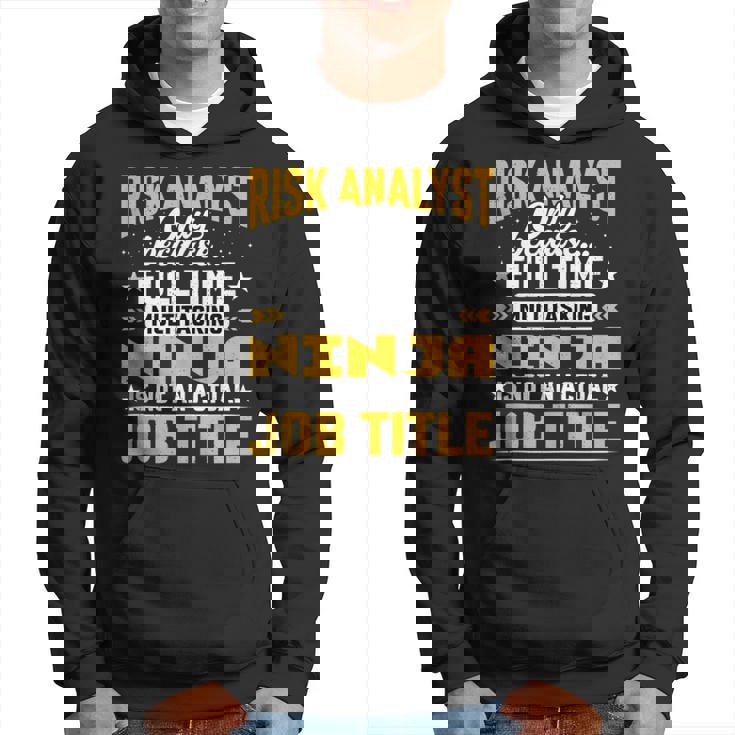 Risk Analyst Job Title Risk Assessor Investigator Hoodie