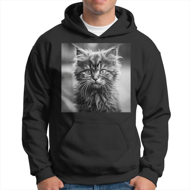 Selkirk Rex Cat Cinematic Black And White Photography Hoodie