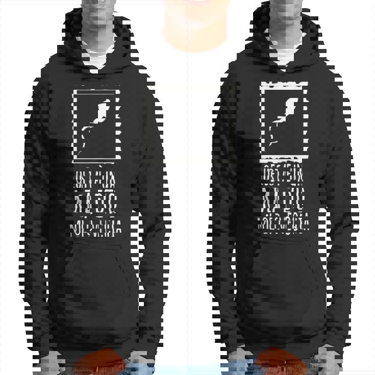 This Is A Very Old Photo Of Me Sperm Image Italian Words Hoodie