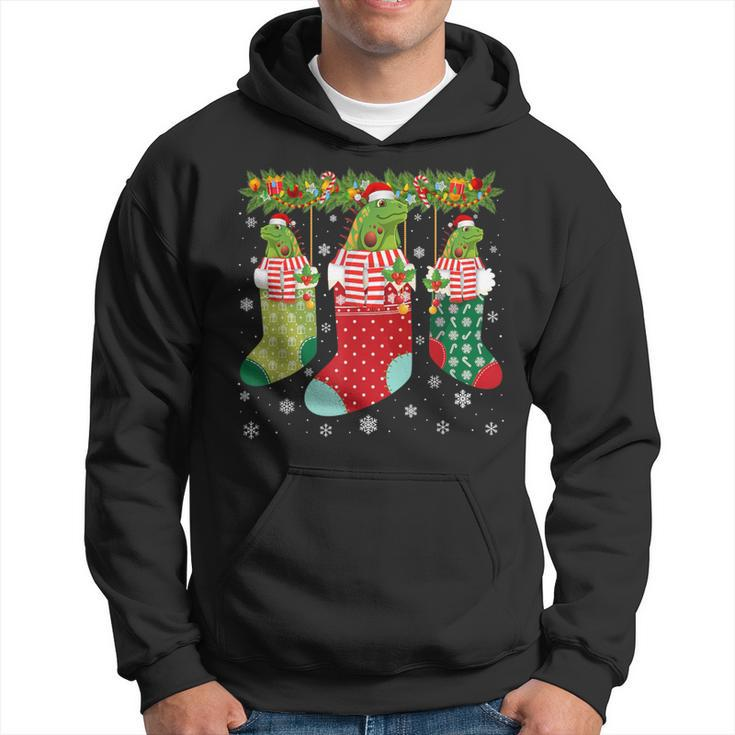 Three Iguana In Socks Ugly Christmas Sweater Party Hoodie