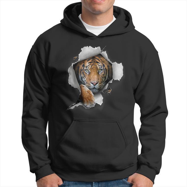 Tiger Bengal Tiger Safari Animal Big Cat Zoo Tiger Hoodie