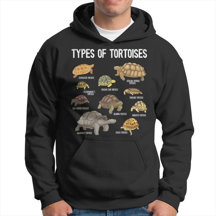Tortoise Lover Types Of Tortoises Turtle Tortoise Hoodie