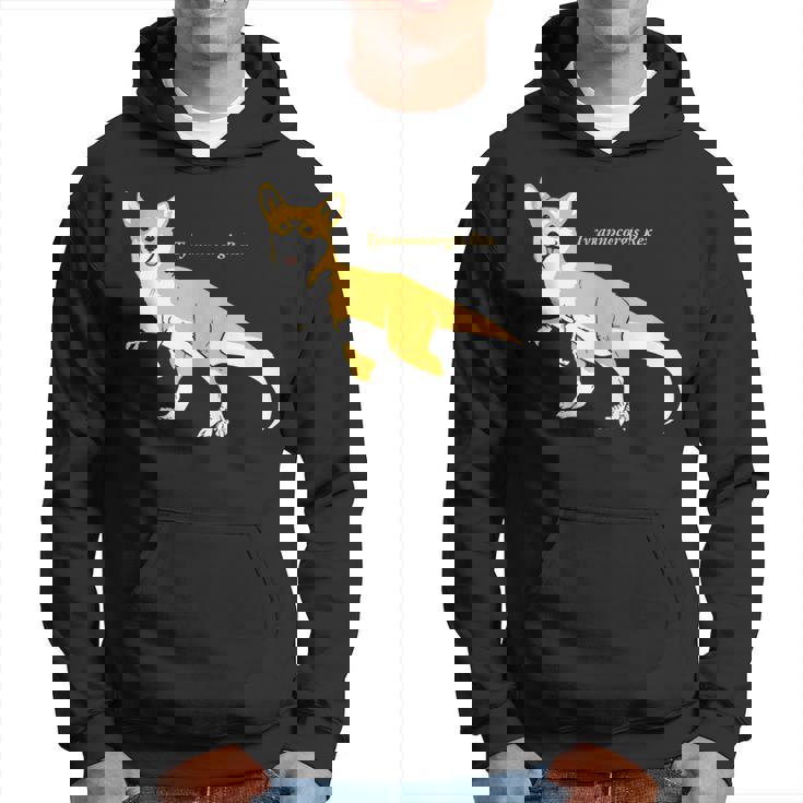 Tyrannocorgis Rex Funny Corgi Dinosaur King Of Cuteness Hoodie