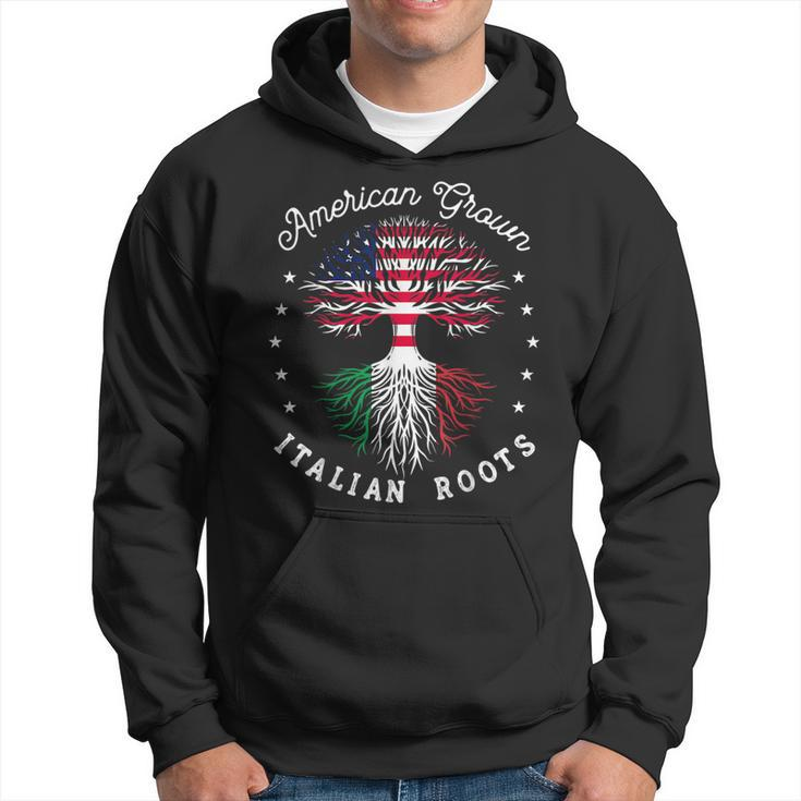 Usa  American Grown  Italian Roots  Us  Hoodie