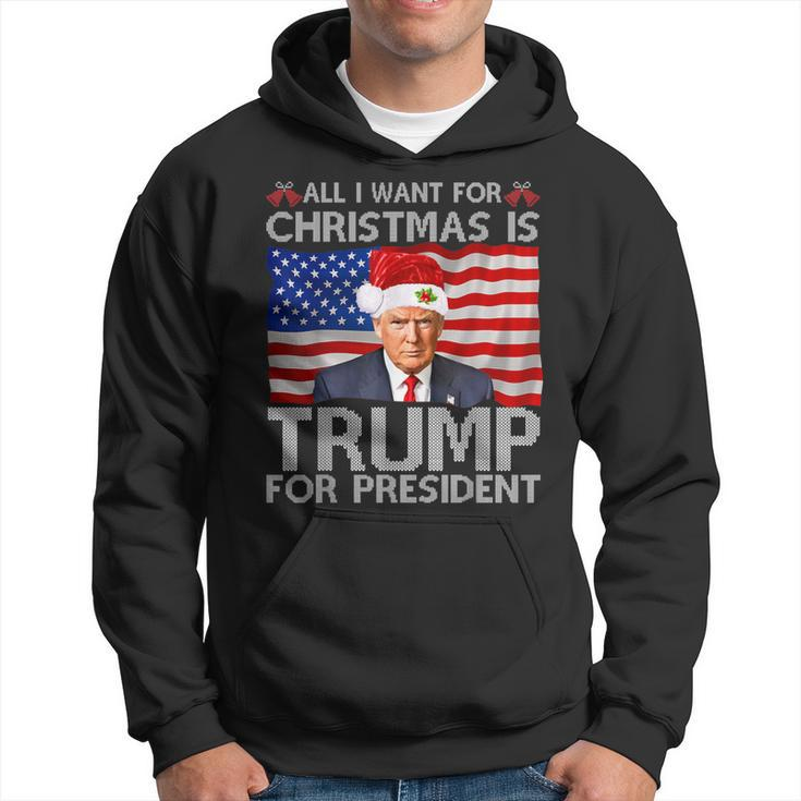 All I Want For Christmas Is A New President Trump 2024 Xmas Hoodie