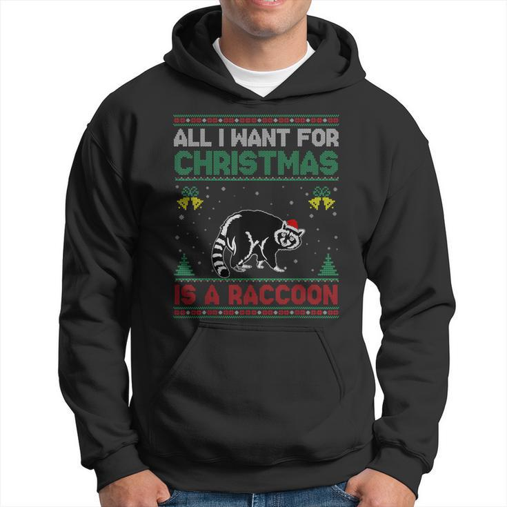 All I Want For Christmas Is A Raccoon Ugly Sweater Hoodie