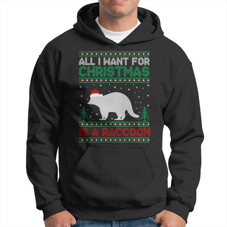 All I Want For Xmas Is A Raccoon Ugly Christmas Sweater Hoodie
