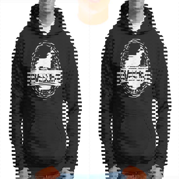 Welsh Corgi Dog Retro Hoodie