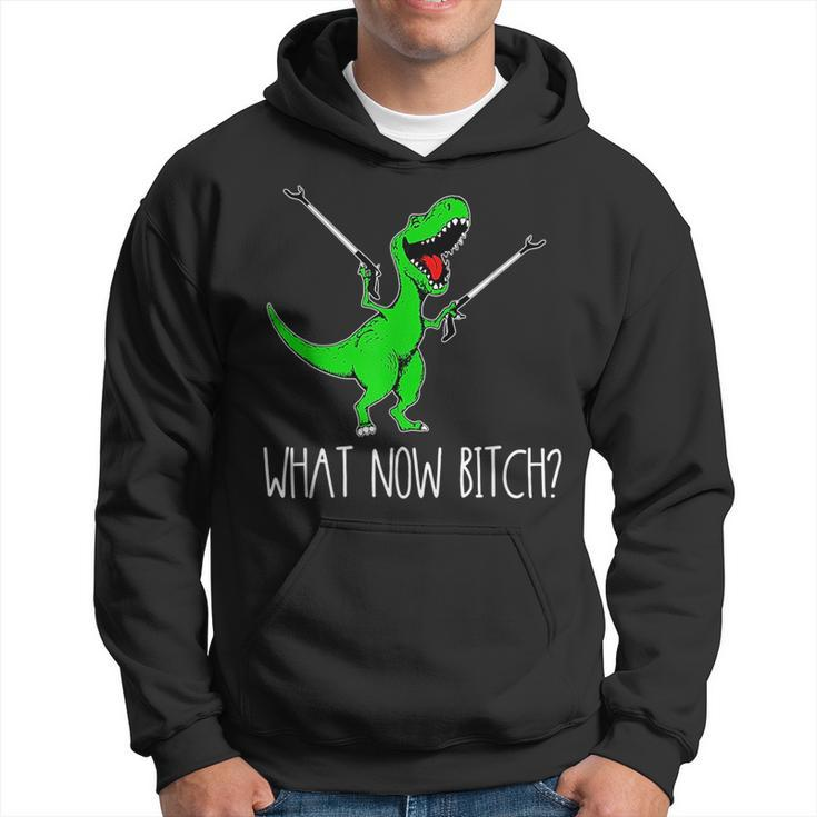 What Now Bitch Funny T Rex Dinosaur  Hoodie