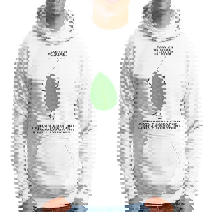 Funny Quotes Of Encourage Mint Motivational Puns Jokes Humor Hoodie