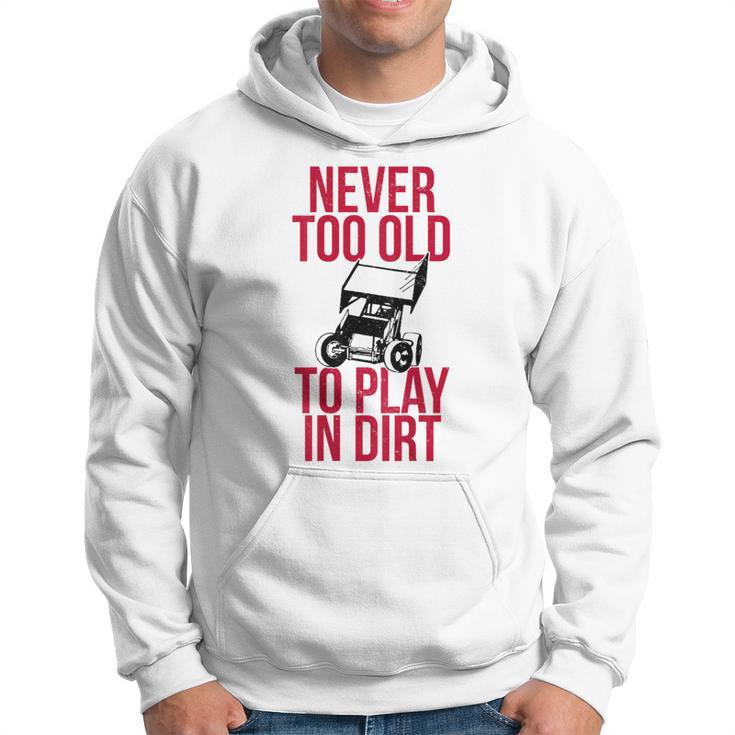 Funny Sprint Car Driver Team Racing Play Dirt Track Driver Funny Gifts Hoodie