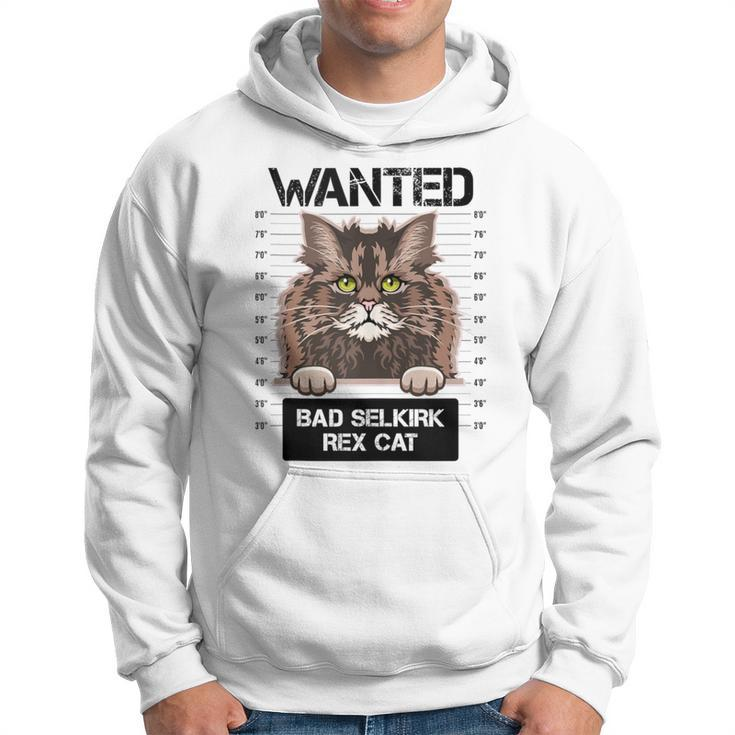 Wanted Bad Selkirk Rex Cat Kitty Kitten Owners Lovers Hoodie