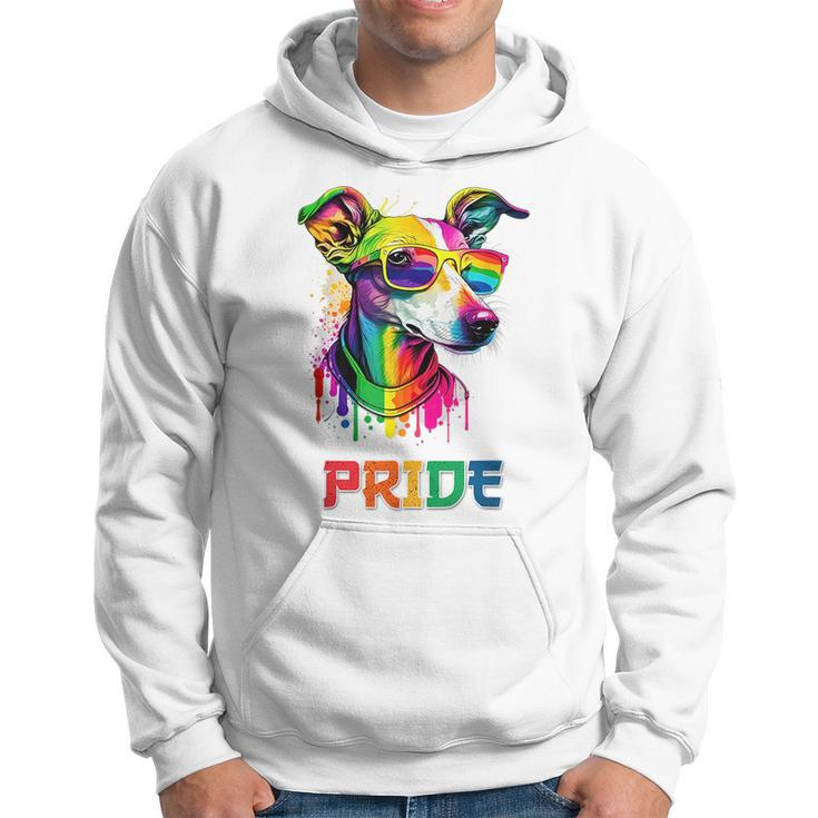 Lgbt Lesbian Gay Pride Italian Greyhound Dog  Hoodie