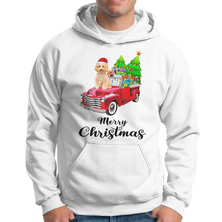 Poodle Ride Red Truck Christmas Pajama Hoodie