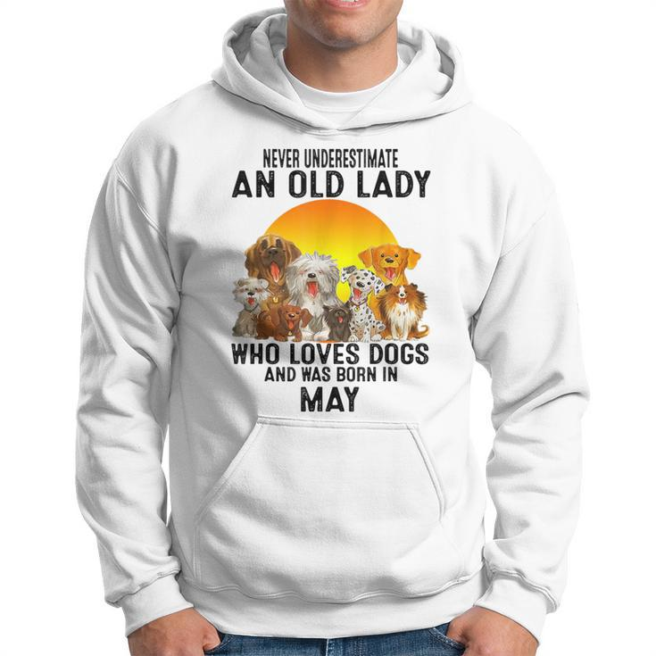 Never Underestimate An Old May Lady Who Loves Dogs Hoodie