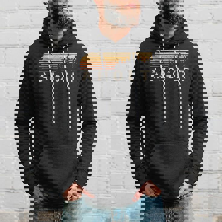 Aholt Mo Vintage Evergreen Sunset Eighties Retro Hoodie Gifts for Him