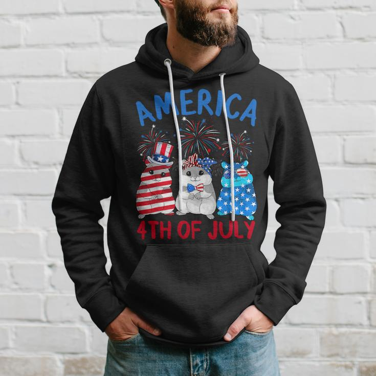 America 4Th Of July Guinea Pig Fireworks Independence Day Hoodie Gifts for Him