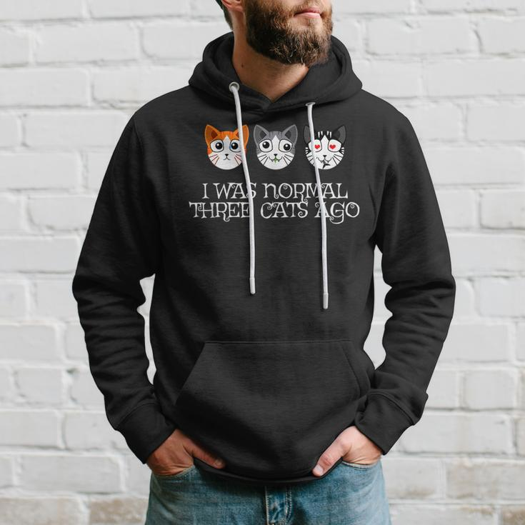 Crazy Cat Lady - Funny I Was Normal Three Cats Ago Hoodie Gifts for Him