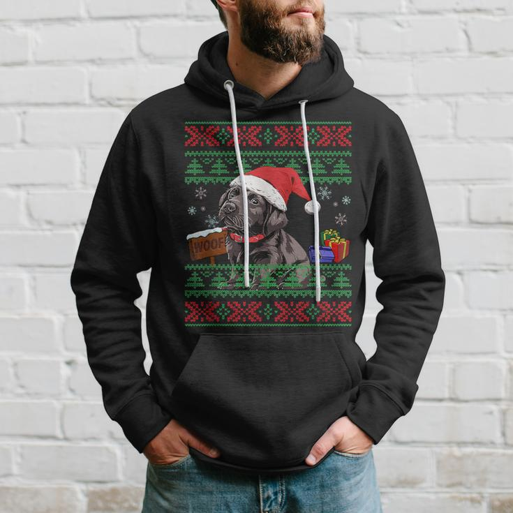 Cute Labrador Retriever Dog Santa Hat Ugly Christmas Sweater Hoodie Gifts for Him