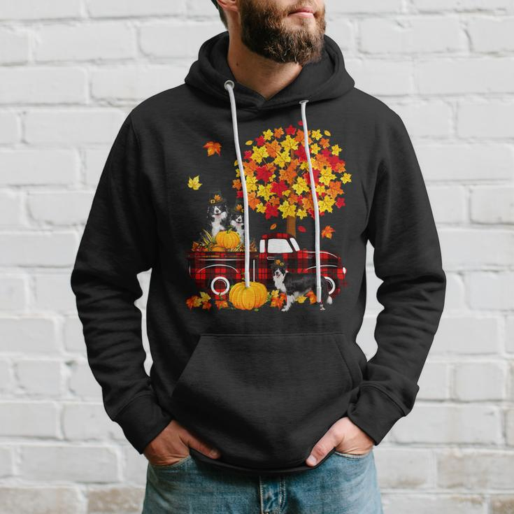 Dog Border Collie Three Border Collies On Pickup Truck Thanksgiving Fall Tree Hoodie Gifts for Him