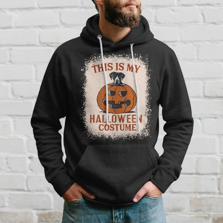Dog Great Dane This Is My Halloween Costume Funny Great Dane Pumpkin Hoodie Gifts for Him