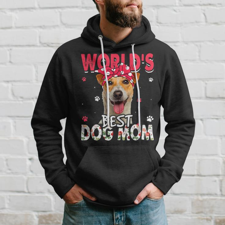 Dog Jack Russell Womens Worlds Best Jack Russell Terrier Dog Mom Funny Mothers Day Hoodie Gifts for Him
