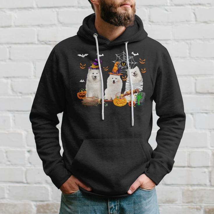 Dog Samoyed Three Samoyed Dogs Witch Halloween Mummy Scary Pumpkins 2 Hoodie Gifts for Him