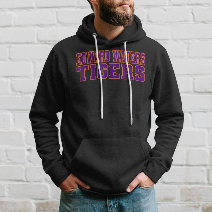 Edward Waters University Tigers Arch01 Hoodie Gifts for Him