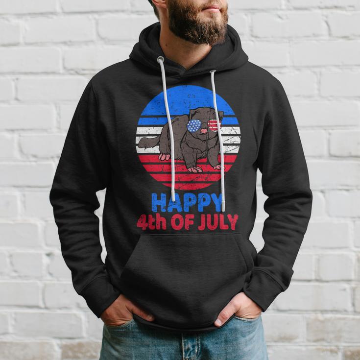 Ferret 4Th Of July For Ferret Lover Retro July 4Th Hoodie Gifts for Him